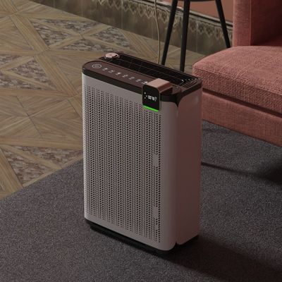 Office Adsorption Floating Hair Pet Air Purifier Reactive Oxygen For Pets