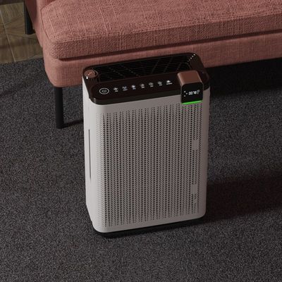 Office Adsorption Floating Hair Pet Air Purifier Reactive Oxygen For Pets