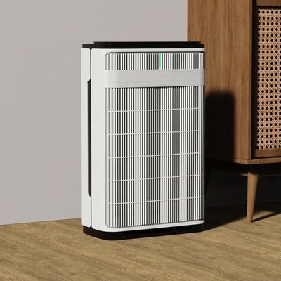 2024 المجموعة الجديدة فلتر هيبا ذكي واي فاي طاهية الهواء للحيوانات الأليفة عائلة حيوانات الأليفة